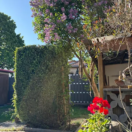 Haus Hannah Meiningen