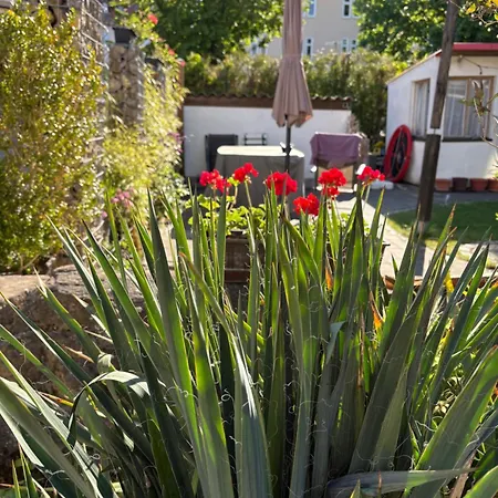 Haus Hannah 아파트