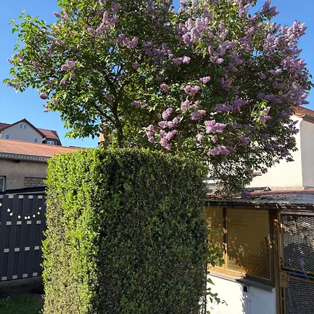 Haus Hannah 마이닝겐