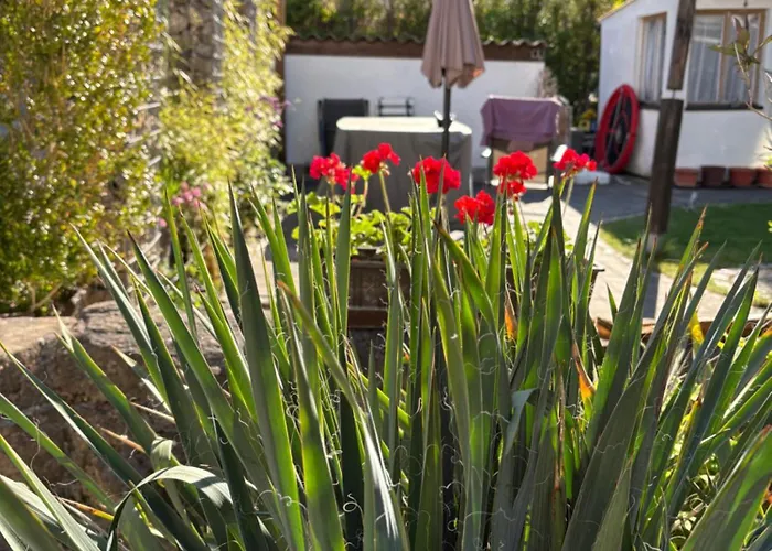 Haus Hannah Privatunterkunft