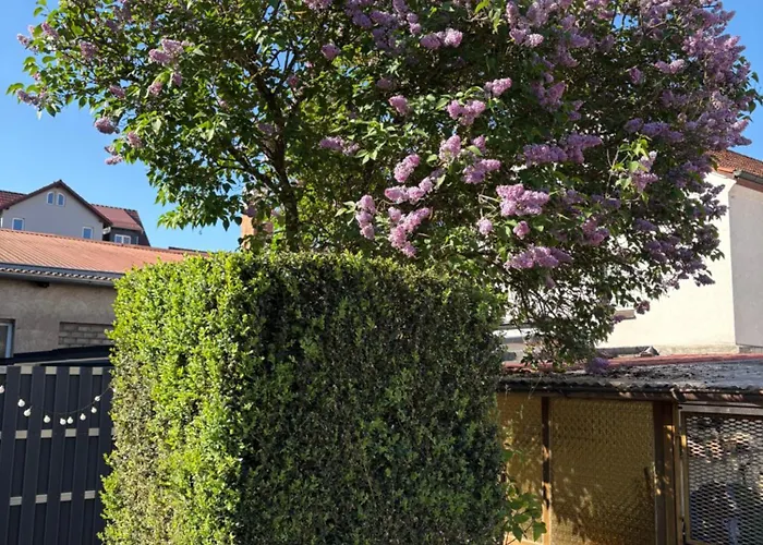 Haus Hannah Meiningen